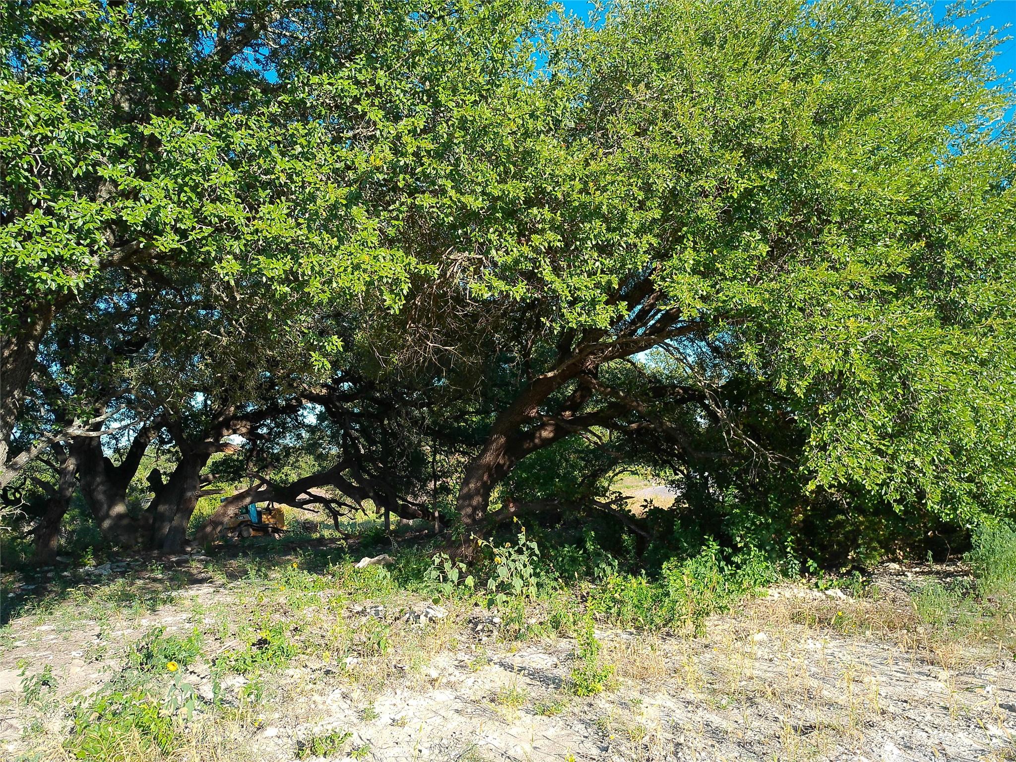Lot 42 Serenity DR
