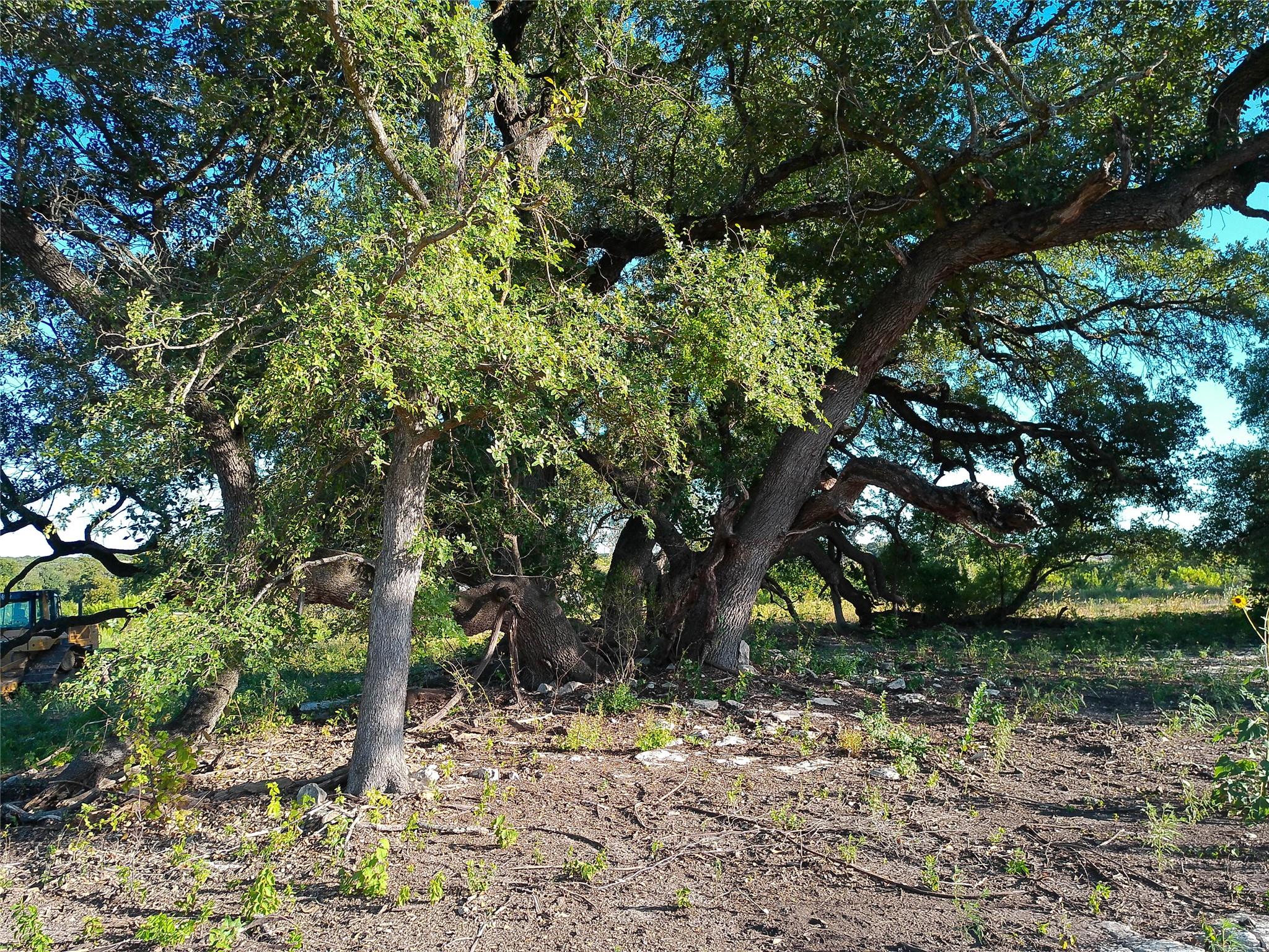 Lot 42 Serenity DR