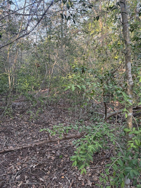 Photo of Lot 607 Waimanalo DR, Bastrop, TX 78602 (MLS # 7712771)