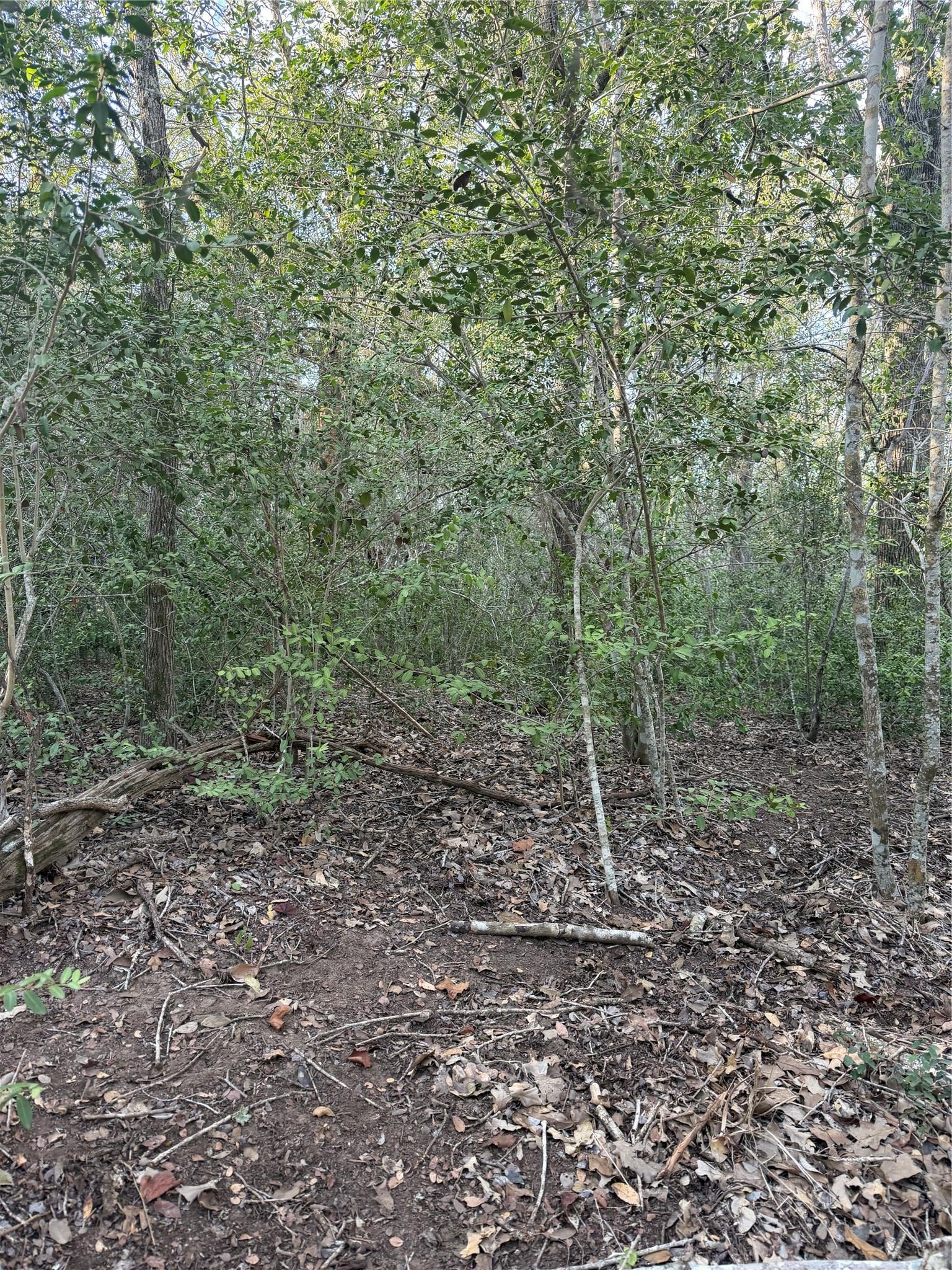 Lot 607 Waimanalo DR