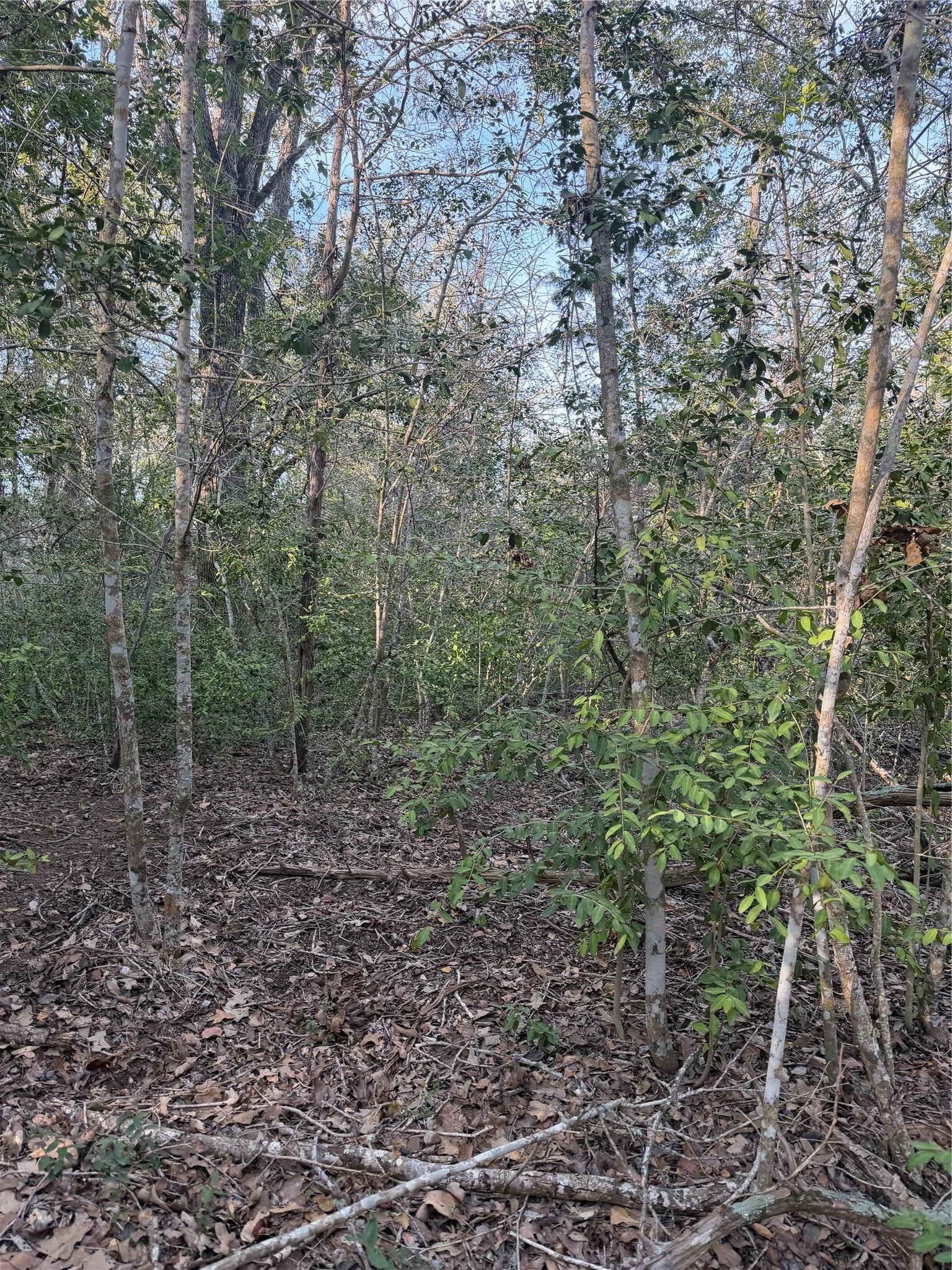 Lot 607 Waimanalo DR