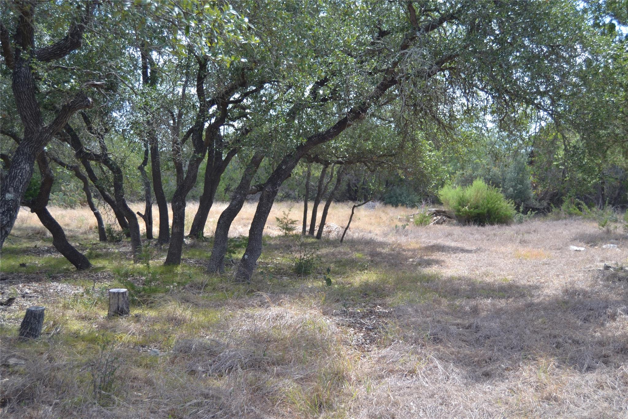 270 Gant RD