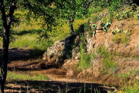 Photo of 3736-6 County Rd 113, Llano, TX 78643 (MLS # 1664505)