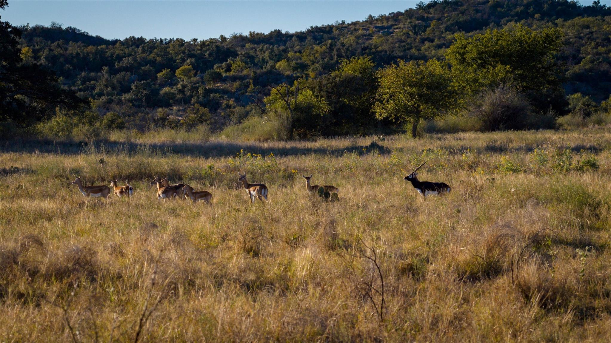 7702 Ranch Road 965