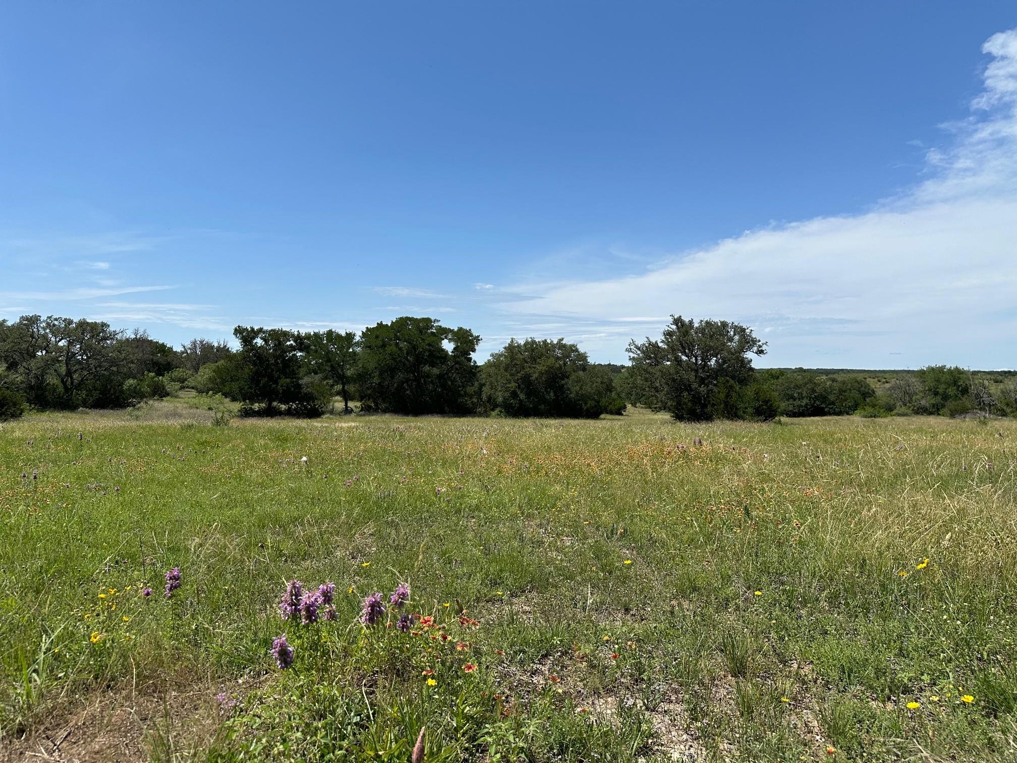 23 acres County Road 330