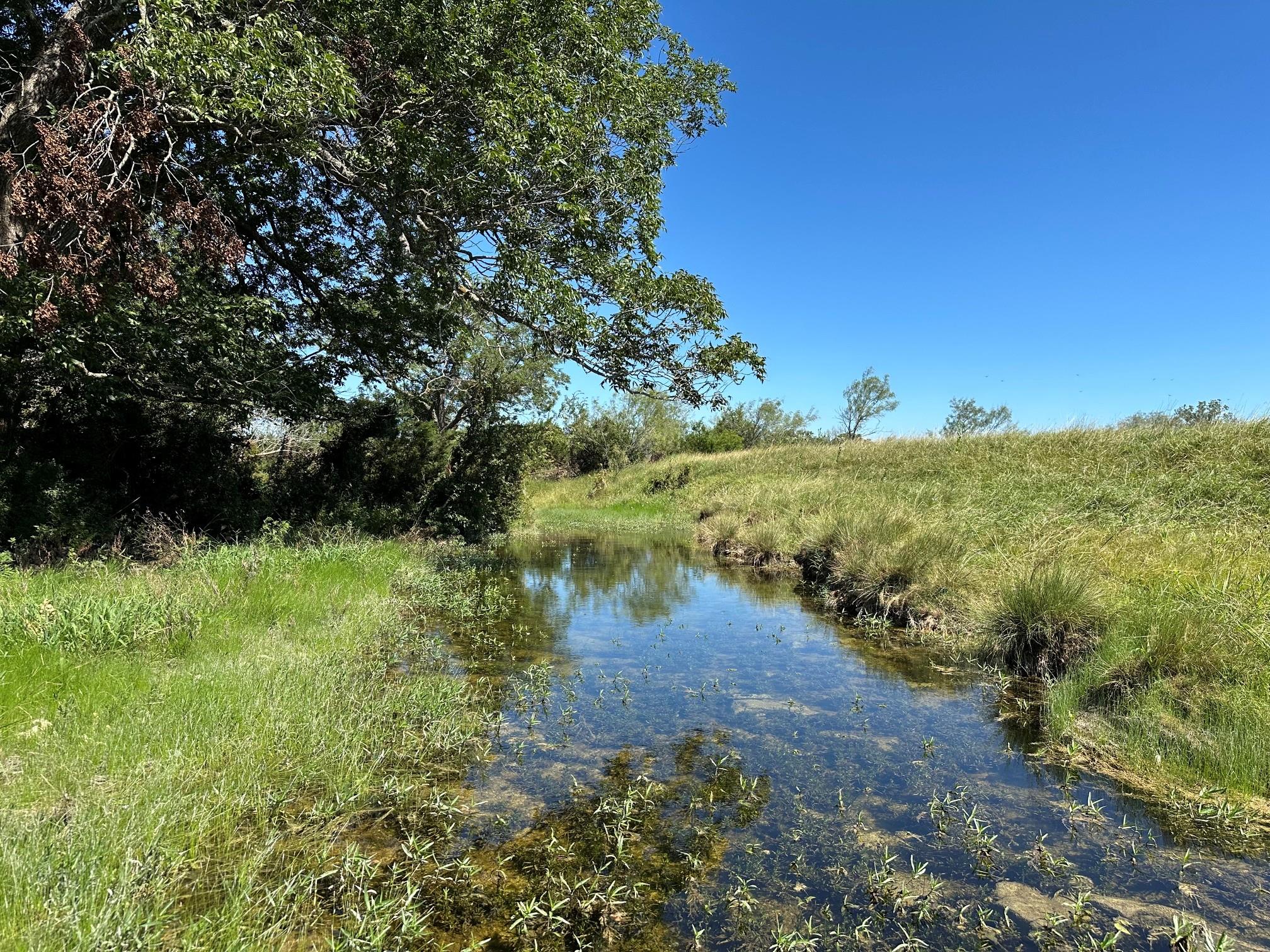 23 acres County Road 330