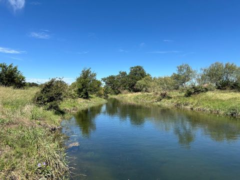 Photo of 23 acres County Road 330, Bertram, TX 78605 (MLS # 5644267)