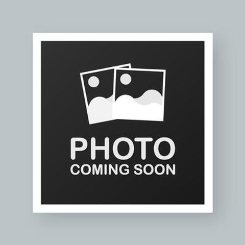 Tiny photo for 1134 Leona ST, Austin, TX 78702 (MLS # 2005377)