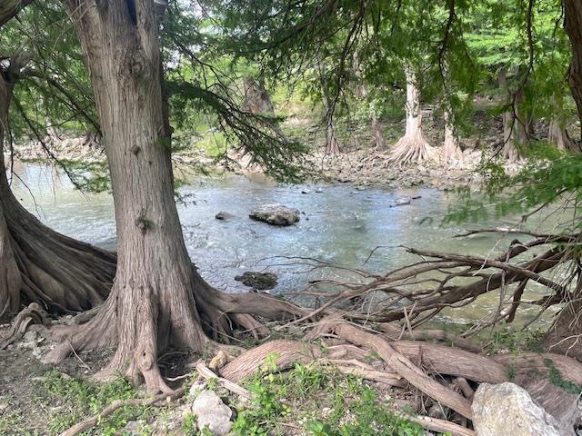 Lot 248 & 247 River Forest DR