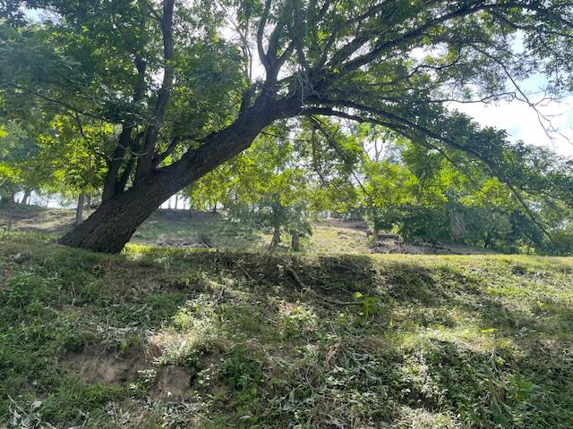 Lot 248 & 247 River Forest DR