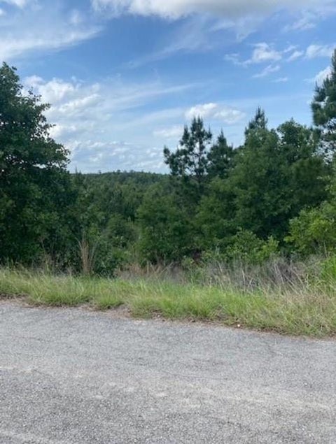 Photo of Lot 4 Kainalu LN, Bastrop, TX 78602 (MLS # 8871348)