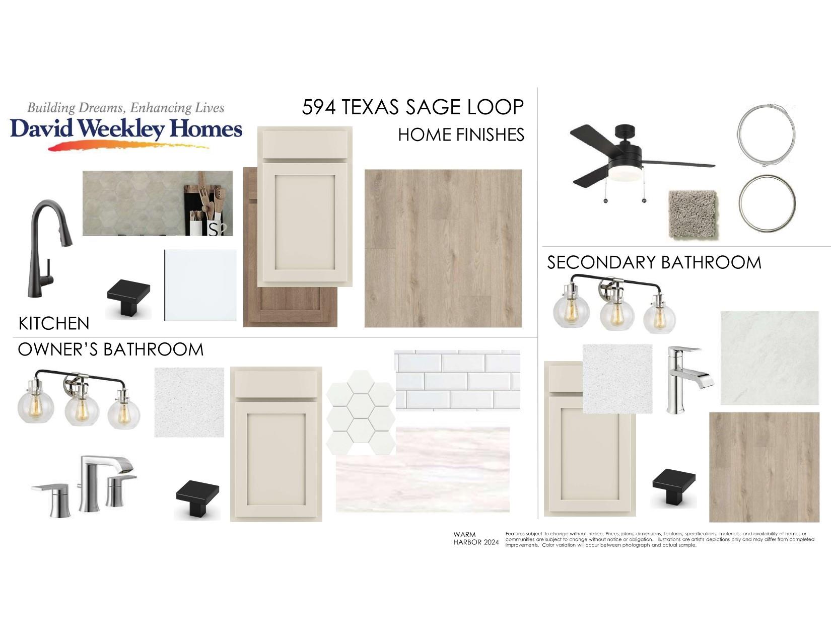 594 Texas Sage LOOP
