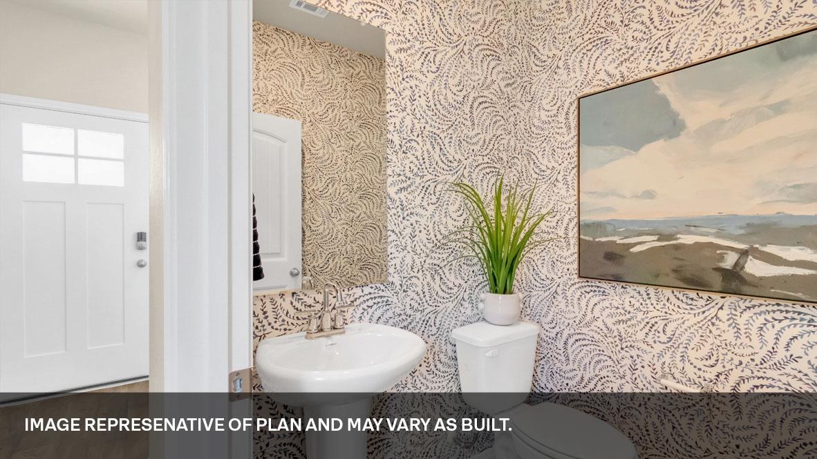 118 Morning Glory LOOP