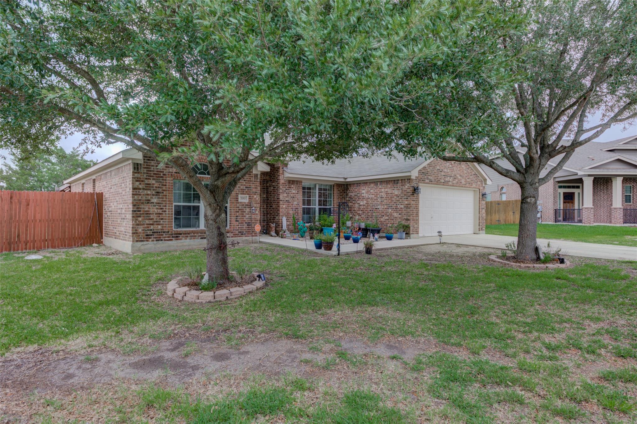 700 Indian Blanket ST