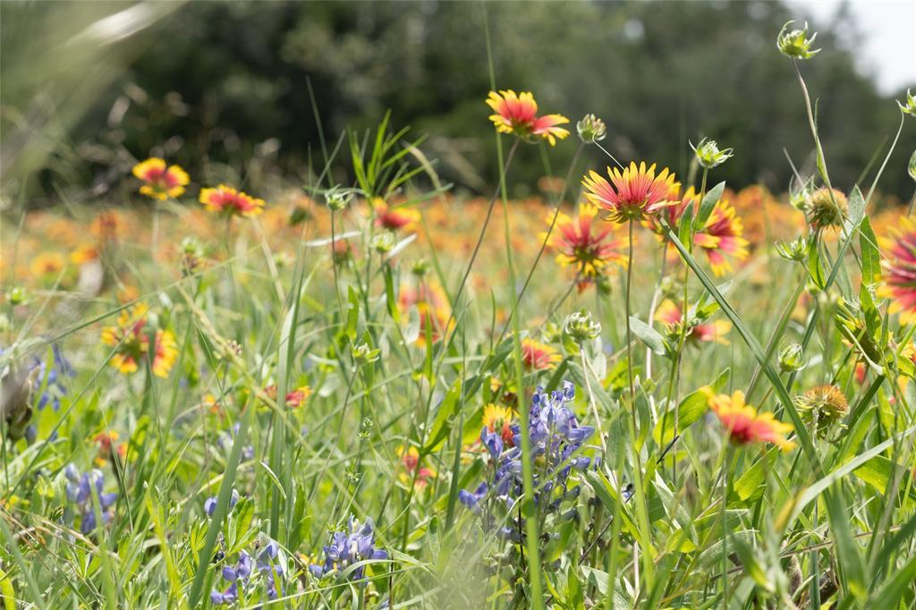 12283 Crows Ranch RD