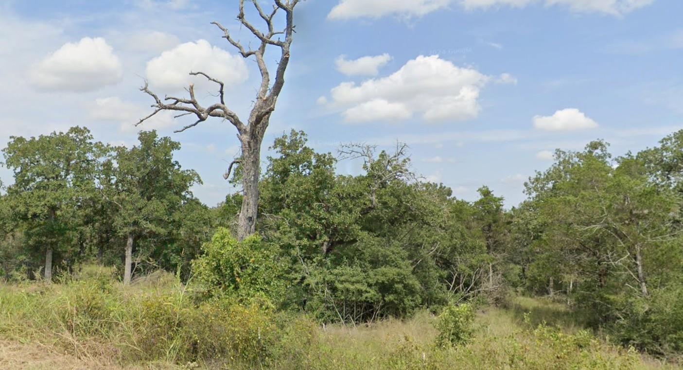 TBA Thousand Oaks DR