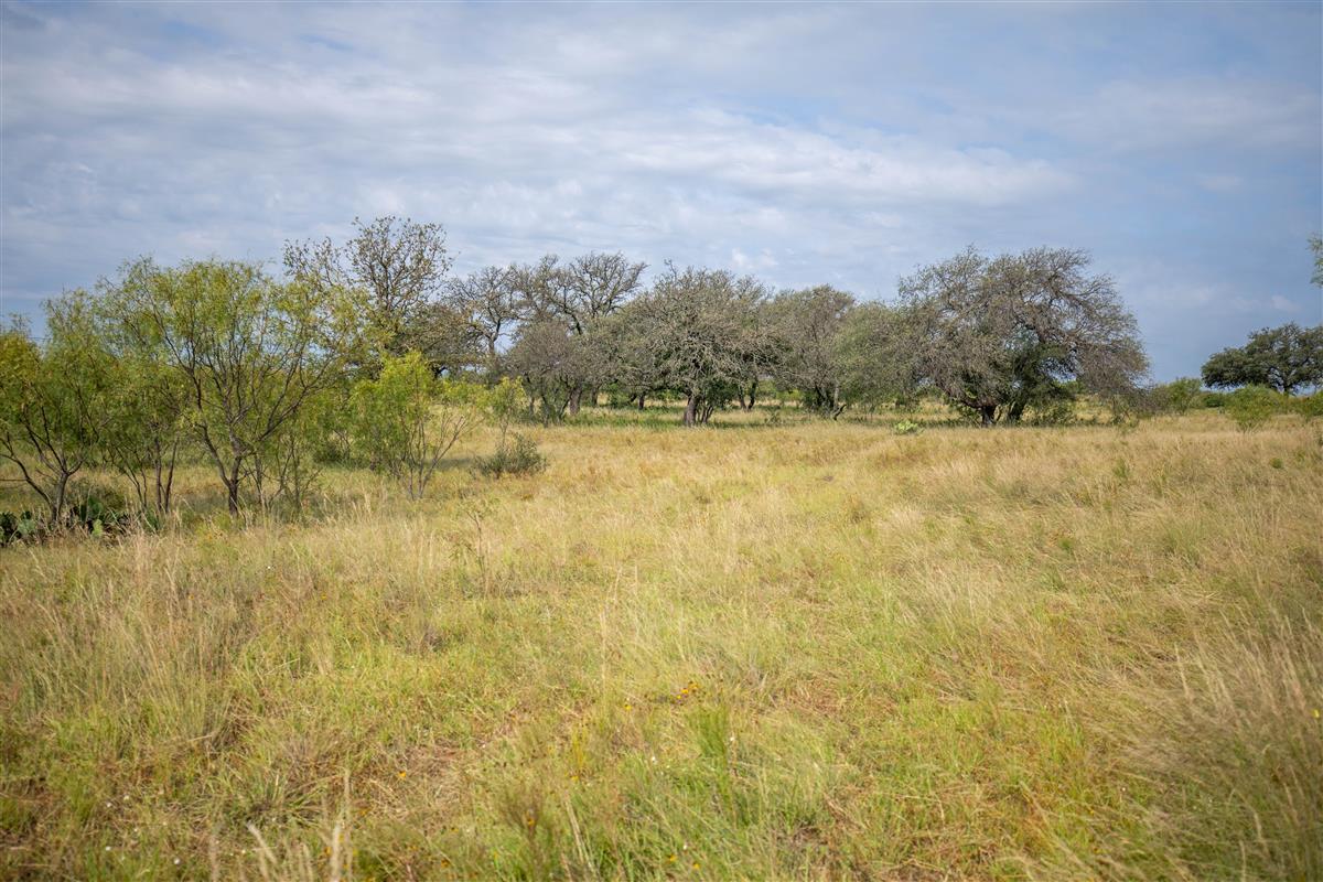 15811 W State Highway 29