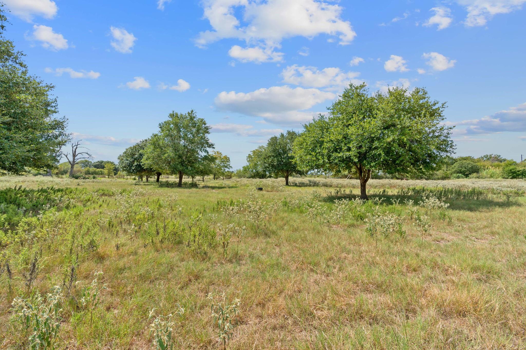Lot 12 Sparta Field RD