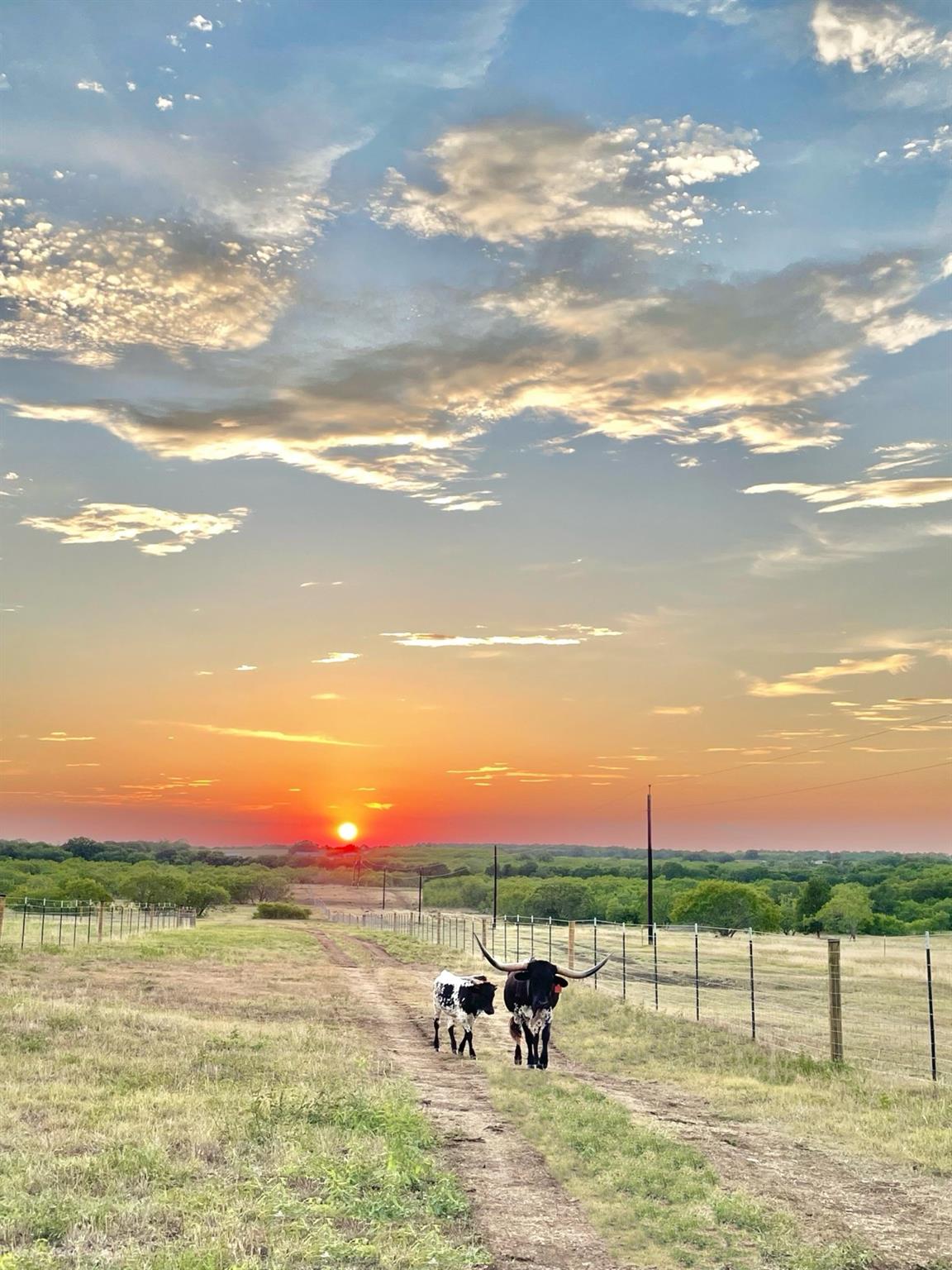 Waelder, Texas 78959, United States, 3 Bedrooms Bedrooms, ,2 BathroomsBathrooms,Residential,Active,214531
