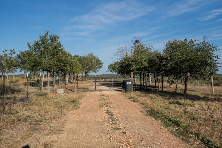 Waelder, Texas 78959, United States, 3 Bedrooms Bedrooms, ,2 BathroomsBathrooms,Residential,Active,214531