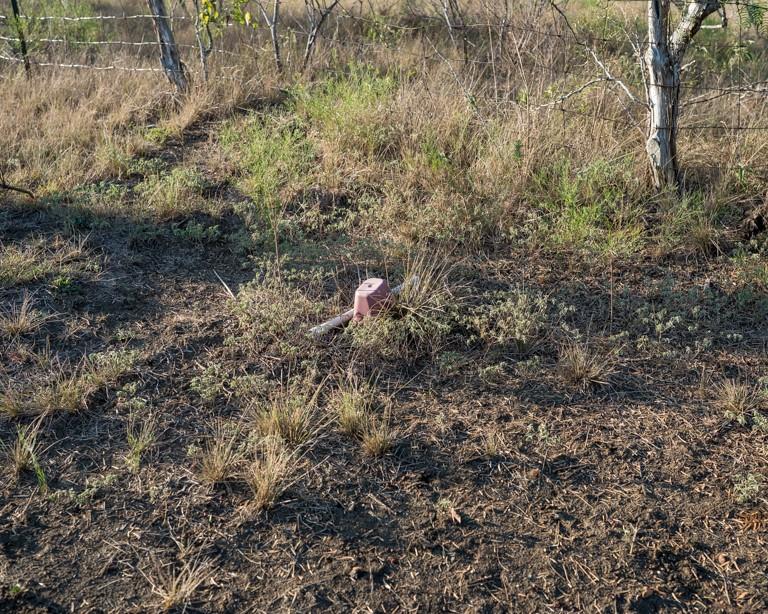 Waelder, Texas 78959, United States, 3 Bedrooms Bedrooms, ,2 BathroomsBathrooms,Residential,Active,214531