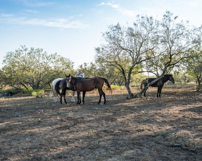 Waelder, Texas 78959, United States, 3 Bedrooms Bedrooms, ,2 BathroomsBathrooms,Residential,Active,214531