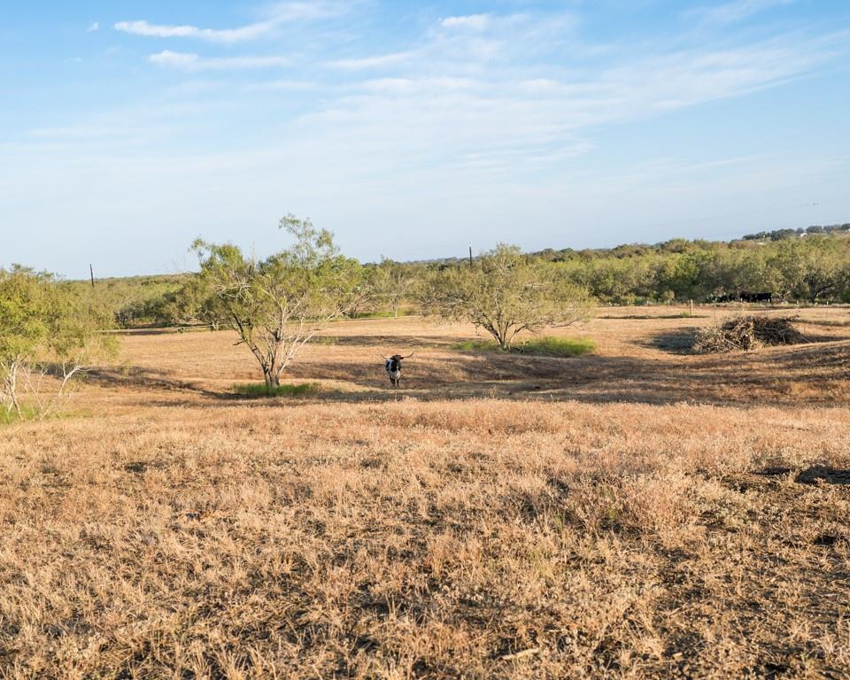 Waelder, Texas 78959, United States, 3 Bedrooms Bedrooms, ,2 BathroomsBathrooms,Residential,Active,214531