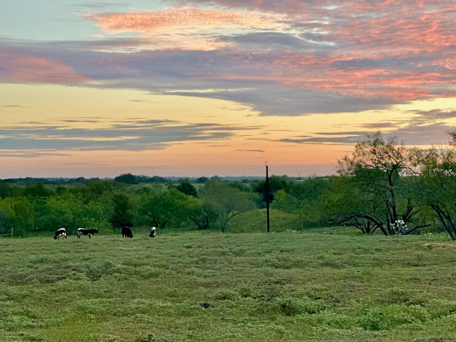 Waelder, Texas 78959, United States, 3 Bedrooms Bedrooms, ,2 BathroomsBathrooms,Residential,Active,214531