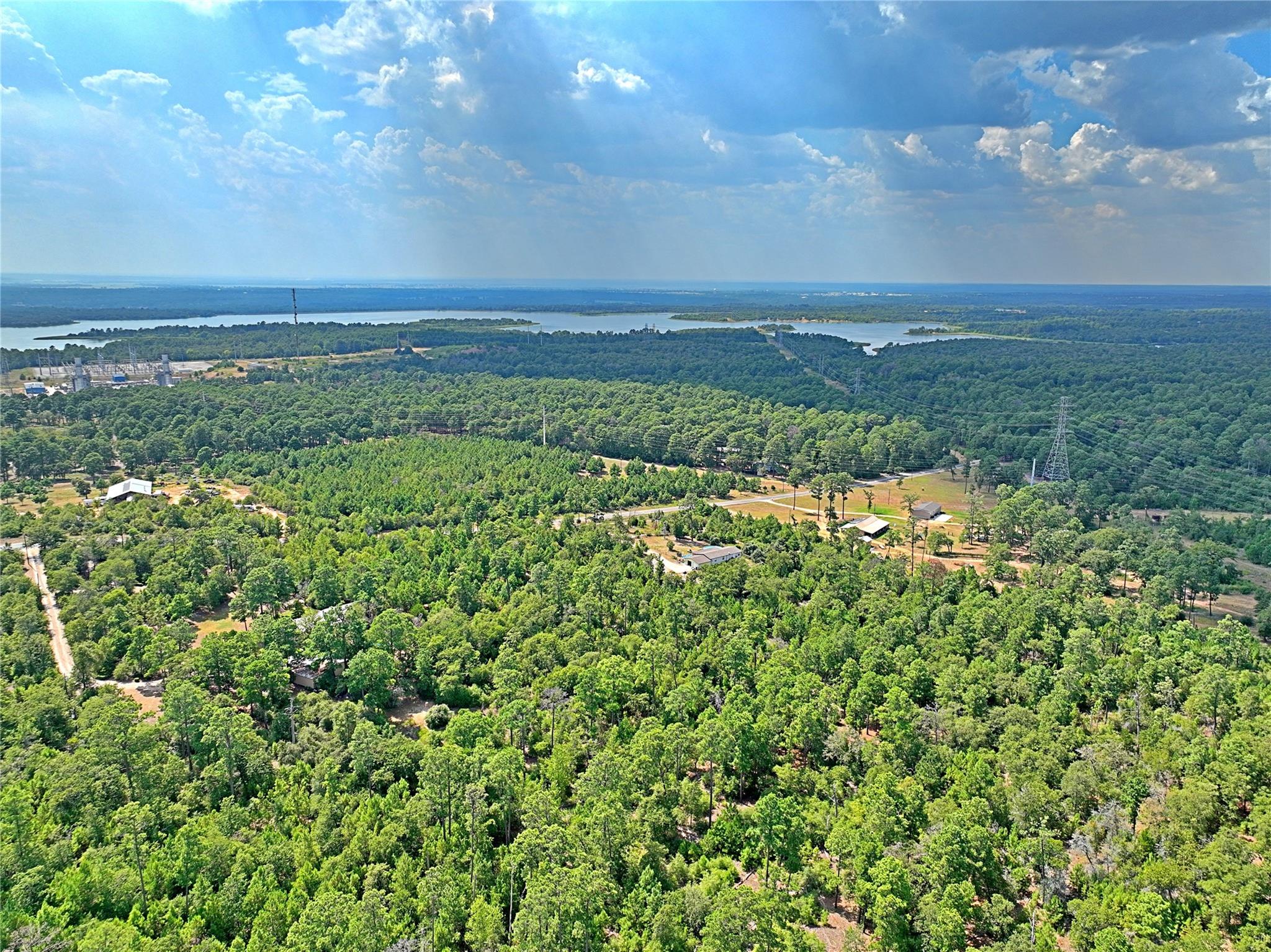 TBD PINE TREE LOOP