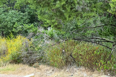 13912 Saskatchewan DR Austin TX 78734