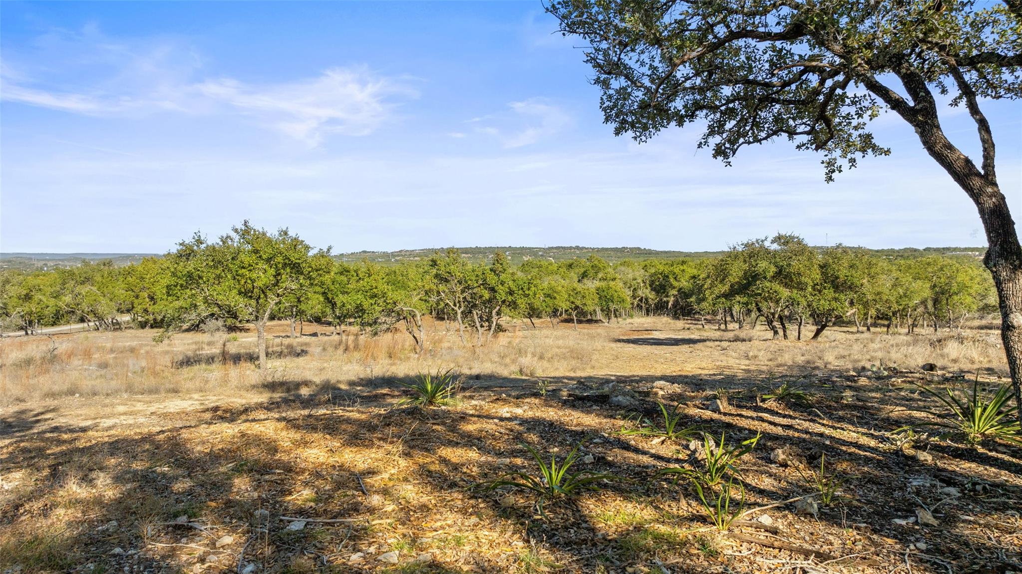 23405 Pedernales Canyon TRL
