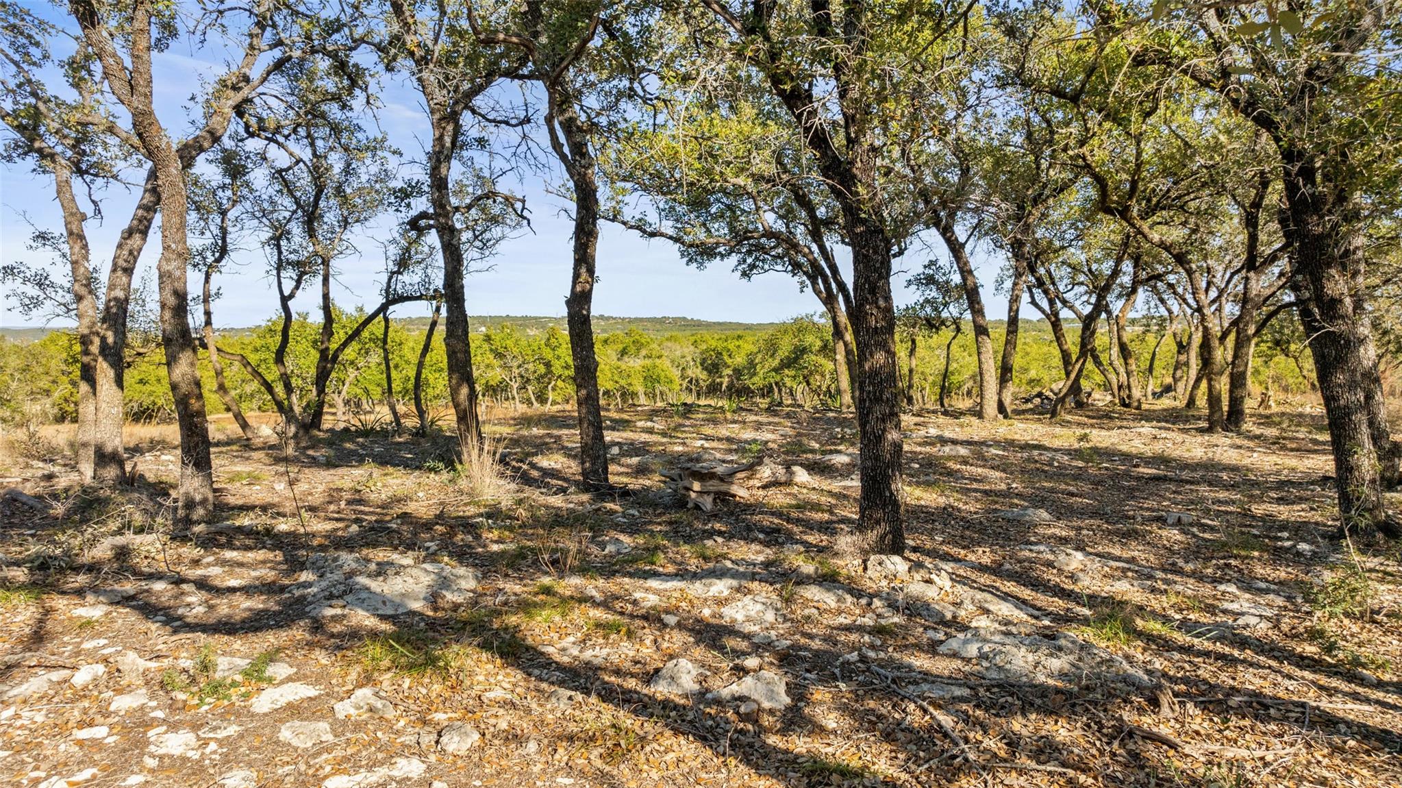 23405 Pedernales Canyon TRL