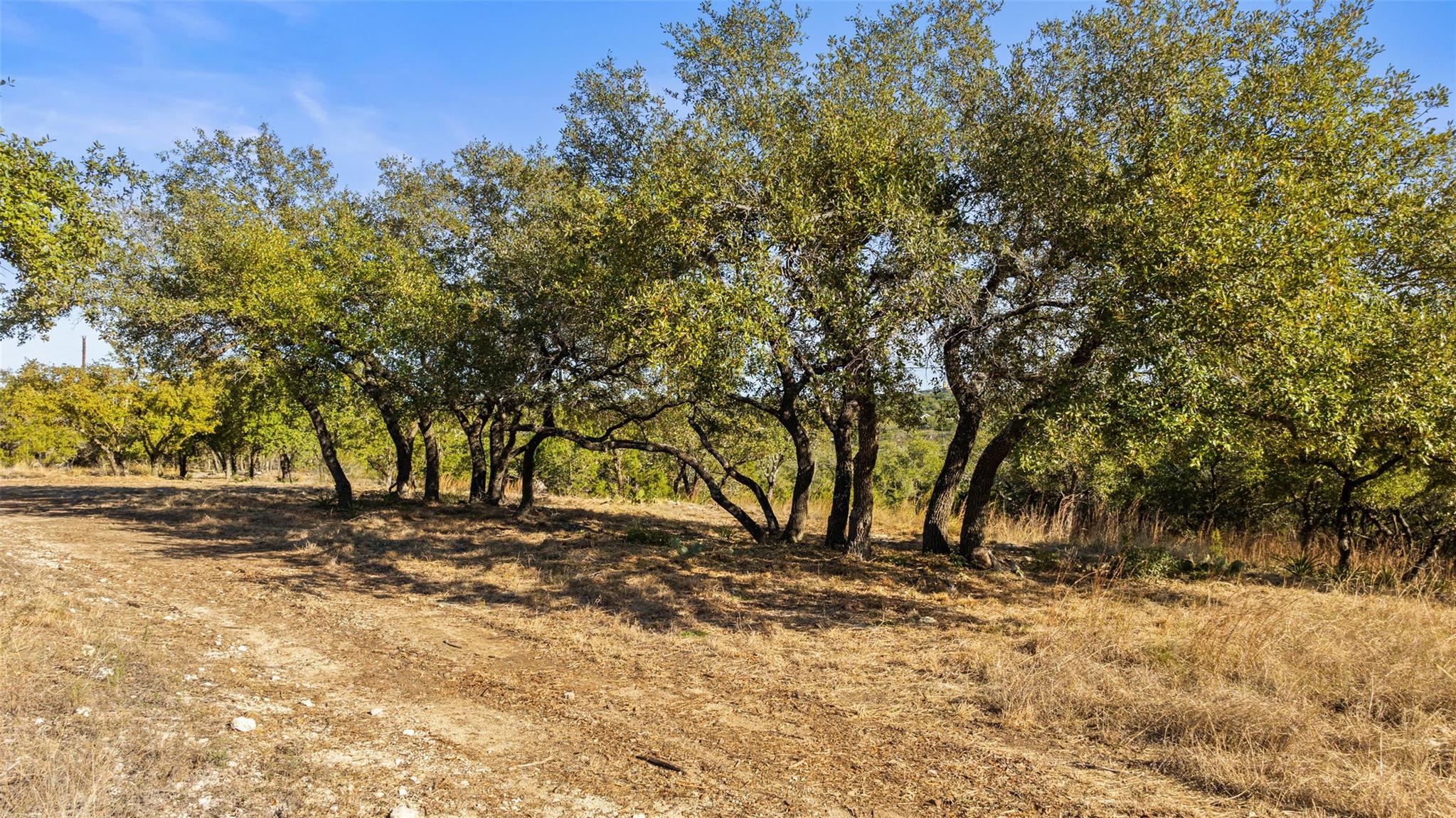 23405 Pedernales Canyon TRL