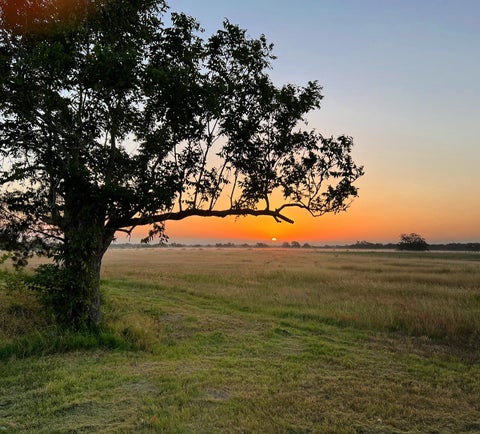 Photo of 7194 Goehring Rd RD, Ledbetter, TX 78946 (MLS # 6323078)