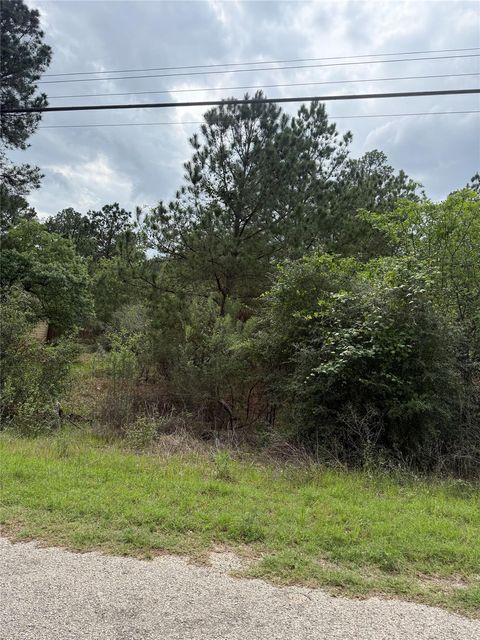 Lot 1360 N Kuapo DR Bastrop TX 78602