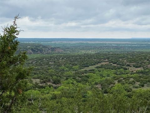 0000 CR 235 Aspermont TX 79502