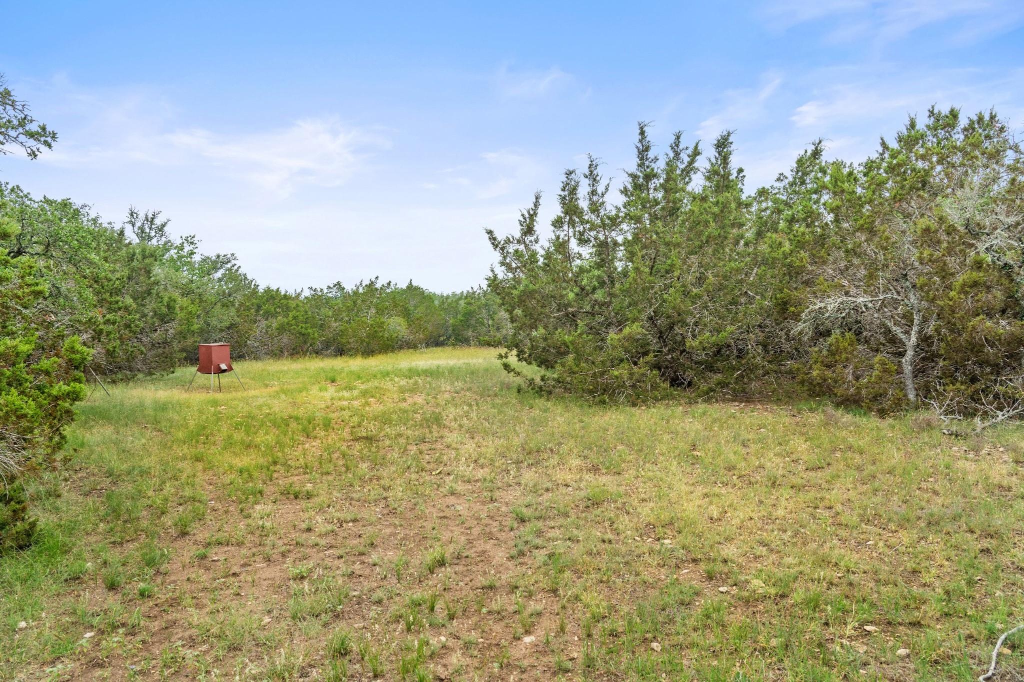 TBD Mary LN