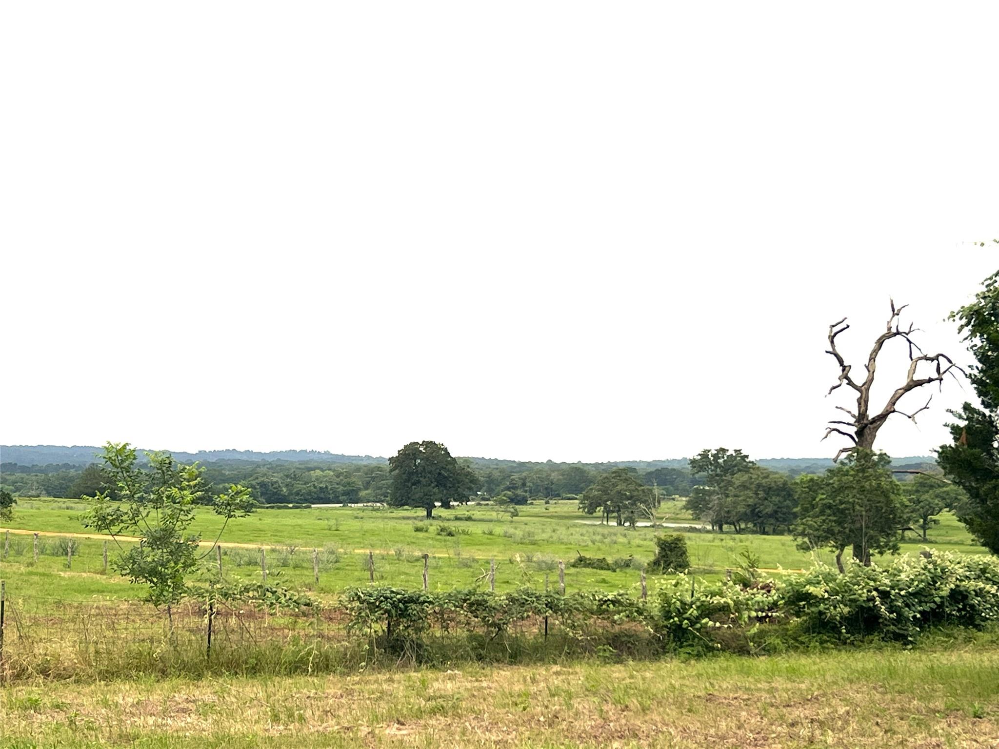 160 Rosanky Cattle Company RD R