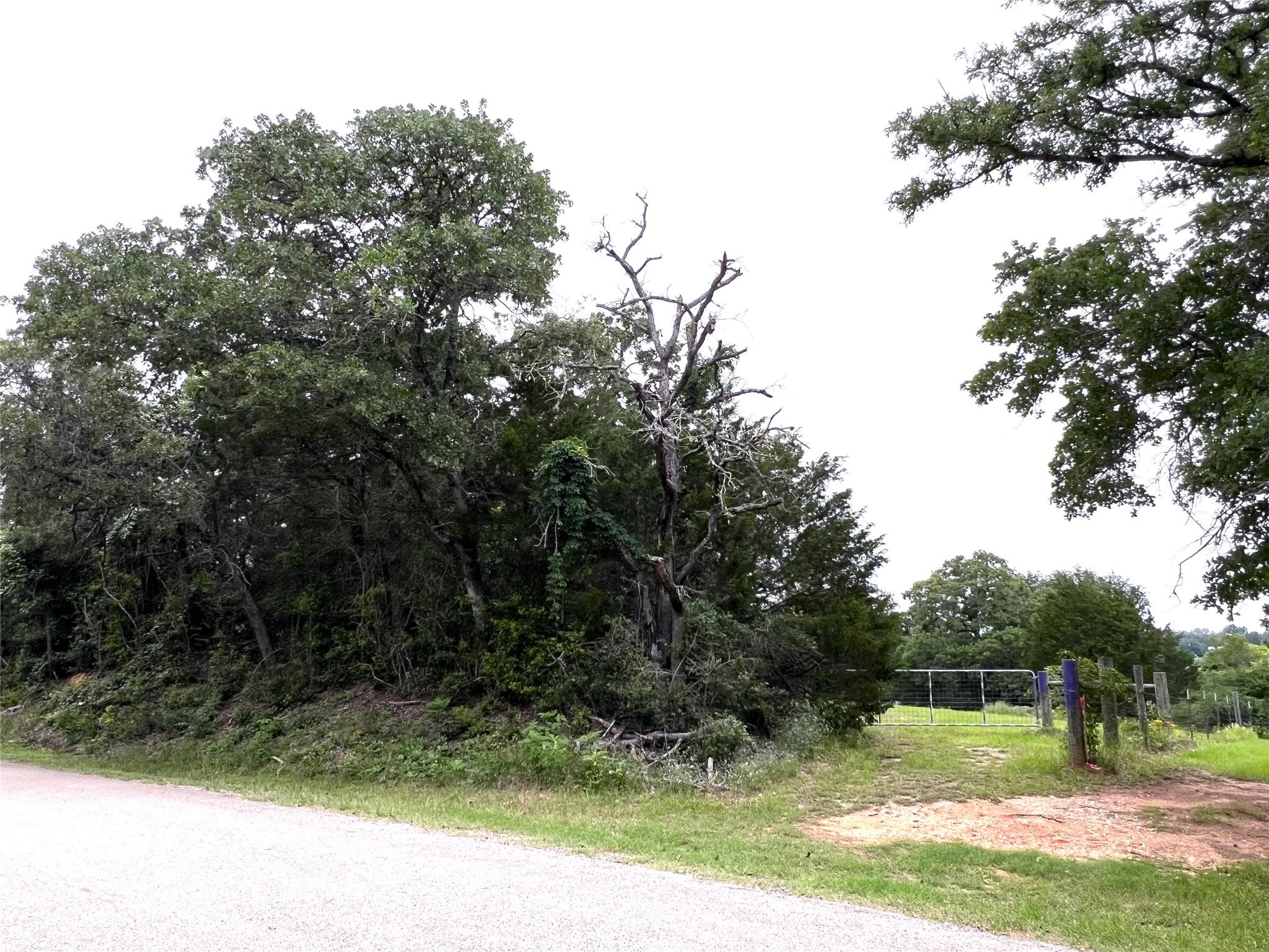 160 Rosanky Cattle Company RD R