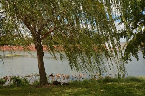 Tiny photo for 1600 Ashberry DR, Austin, TX 78723 (MLS # 5047723)