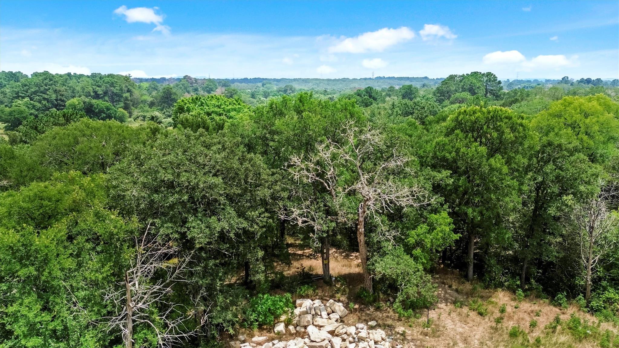 TBD Ripple Brook DR