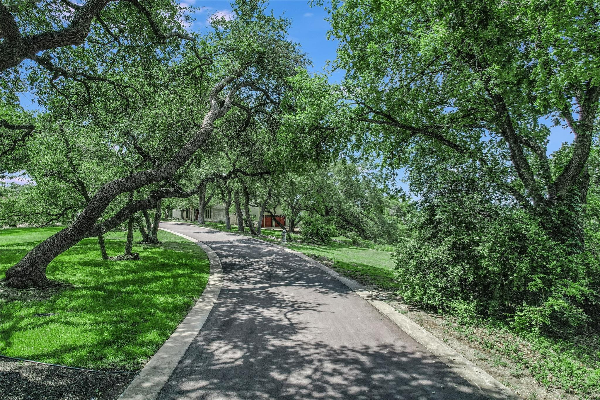 3 Hedge LN