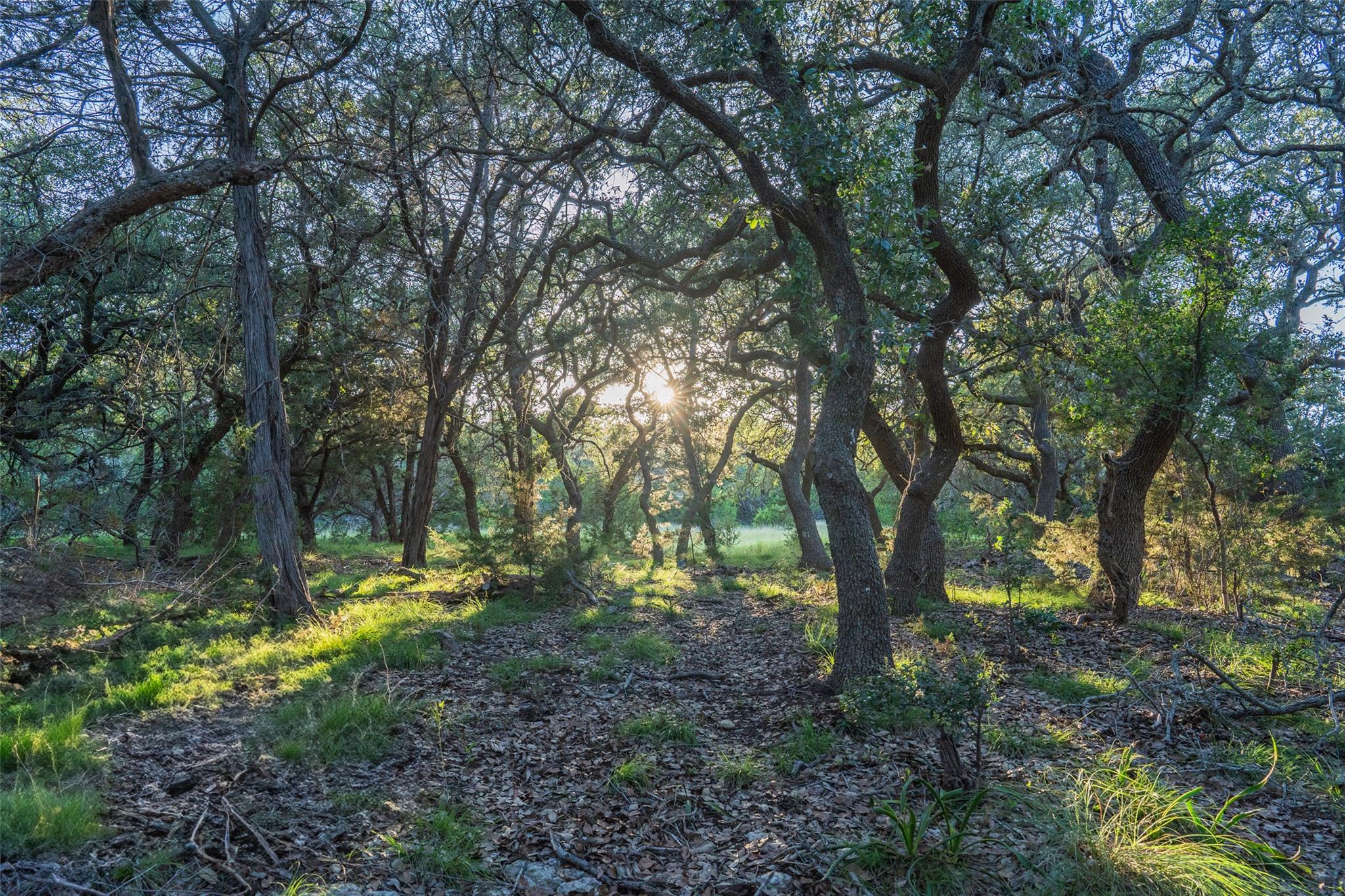 TBD Crabapple RD
