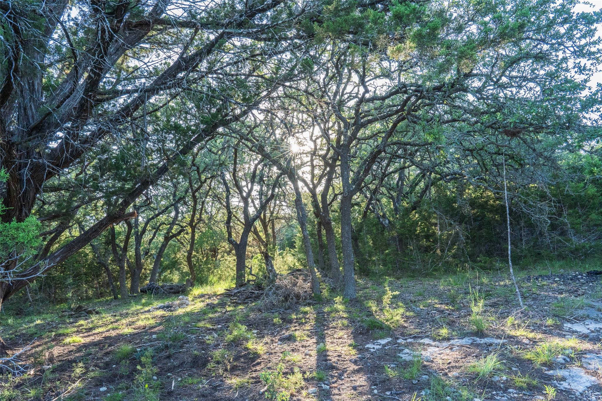TBD Crabapple RD