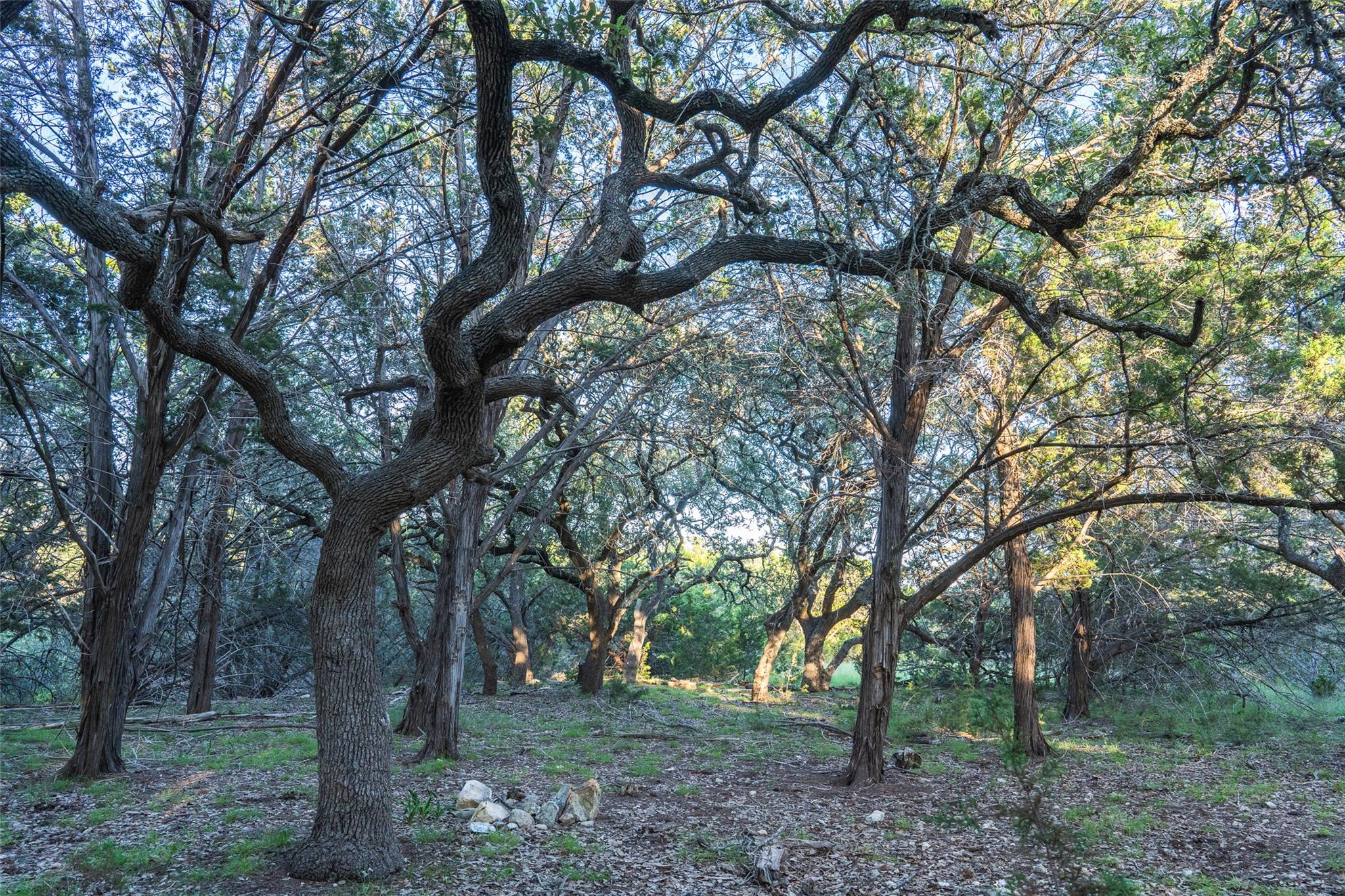 TBD Crabapple RD