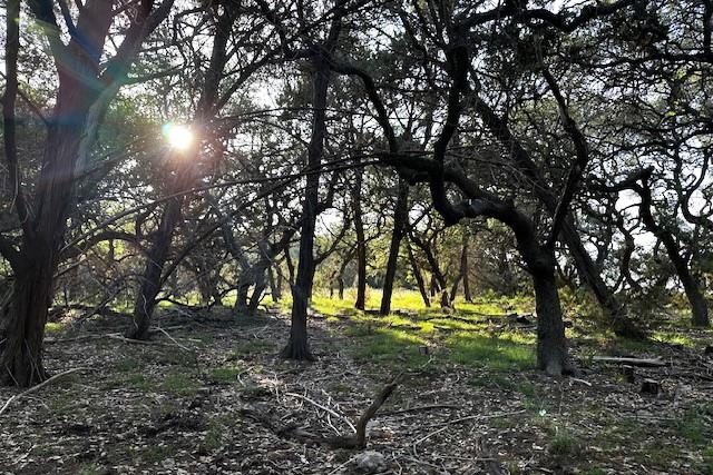 TBD Crabapple RD