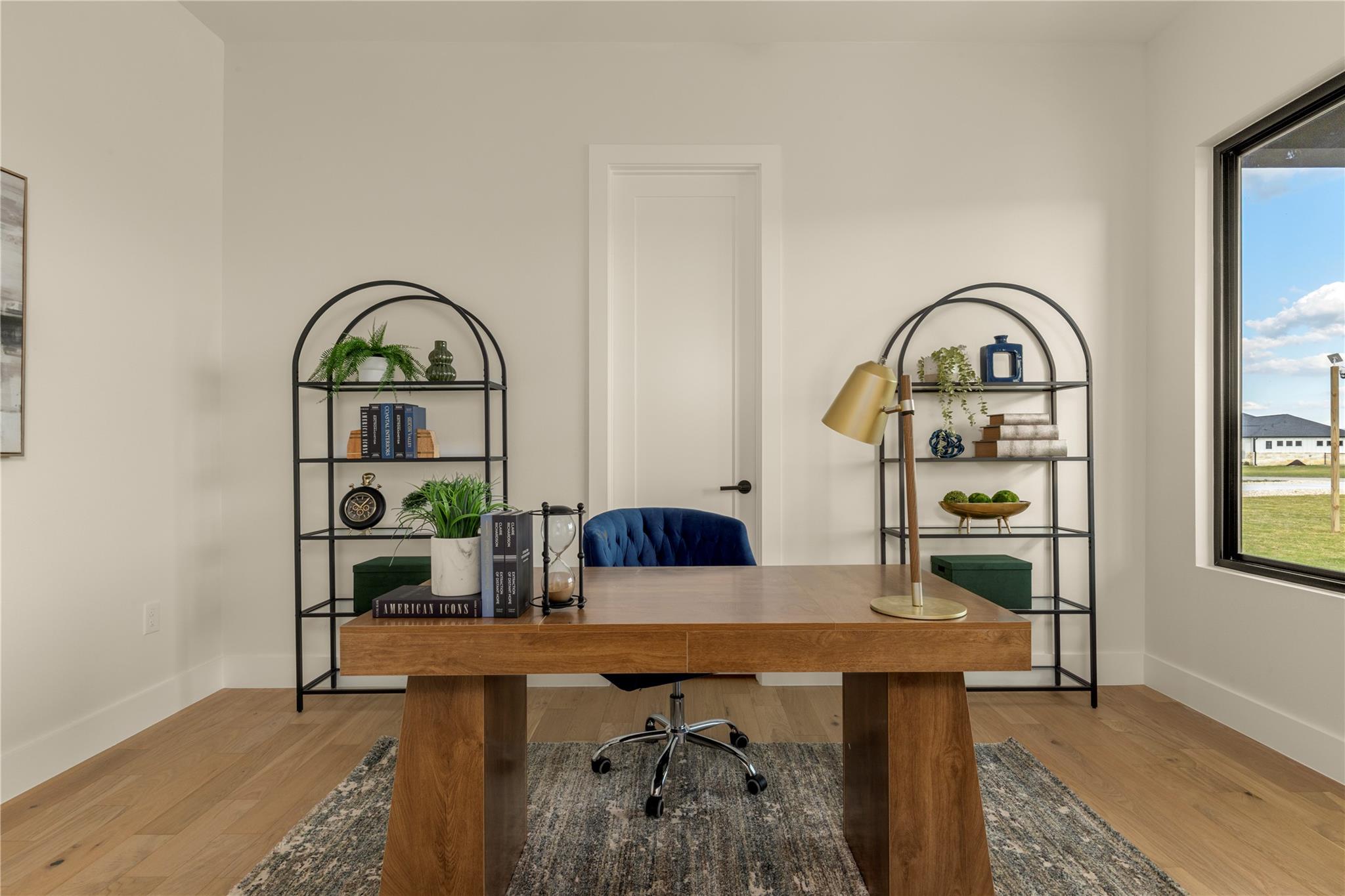 509 Purple Salvia CV