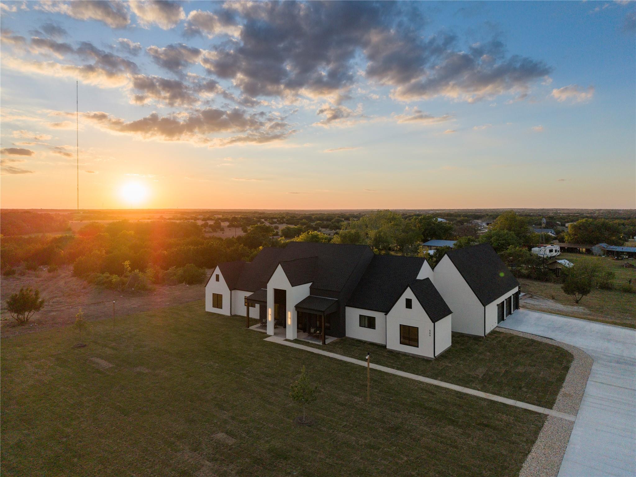 509 Purple Salvia CV