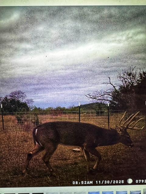 000 County Road 2699