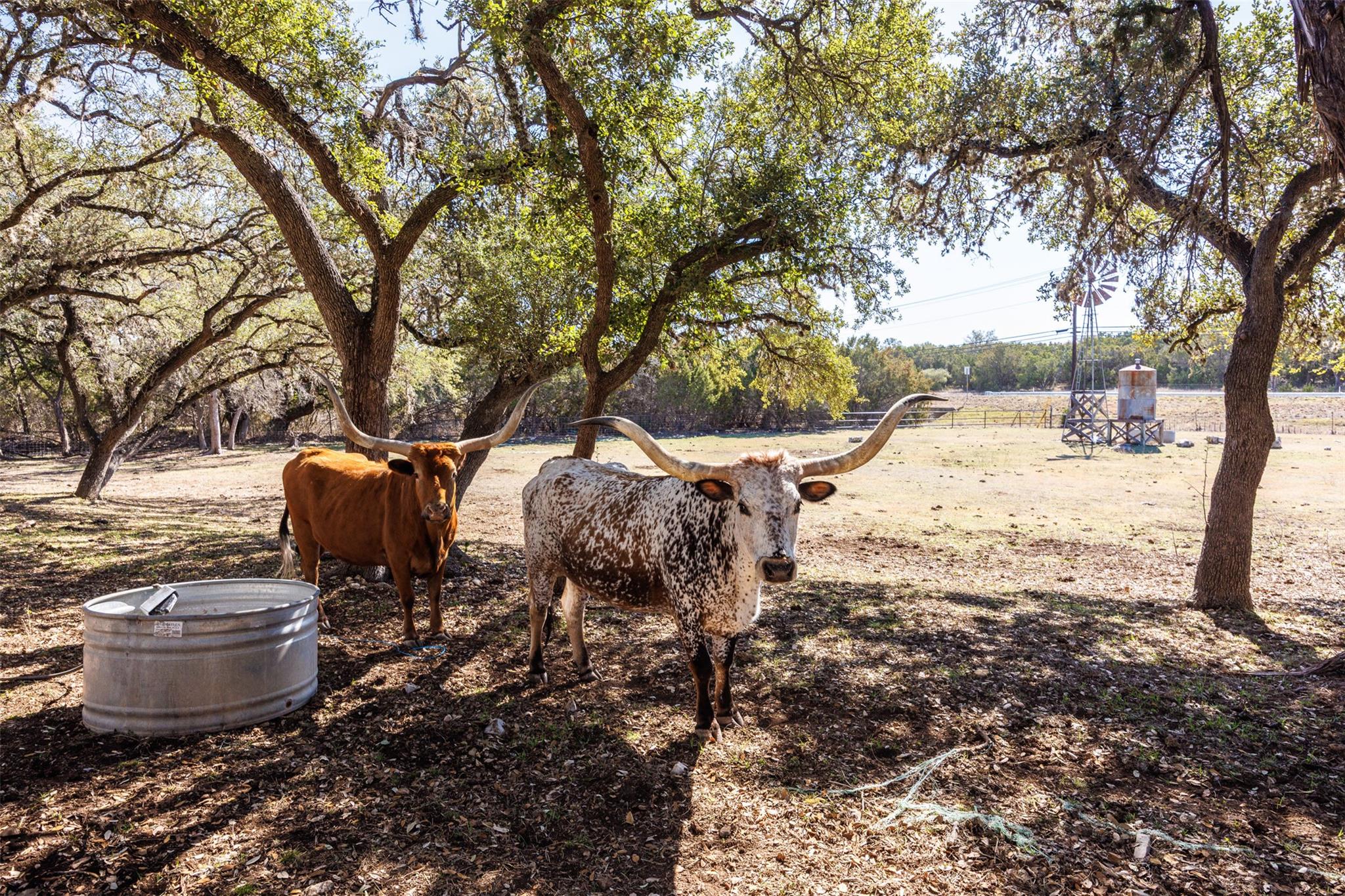 118 Buffalo Springs RD